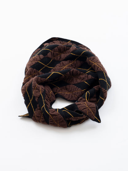 Felted Yarn  Argyle Scarf
