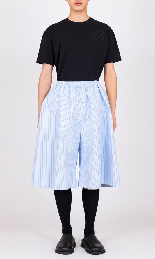 Stripe Big Shorts